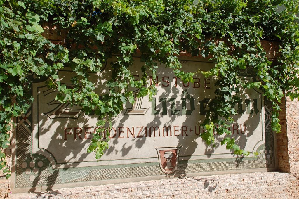 Hotel Zur Lindenau Rüdesheim am Rhein Esterno foto